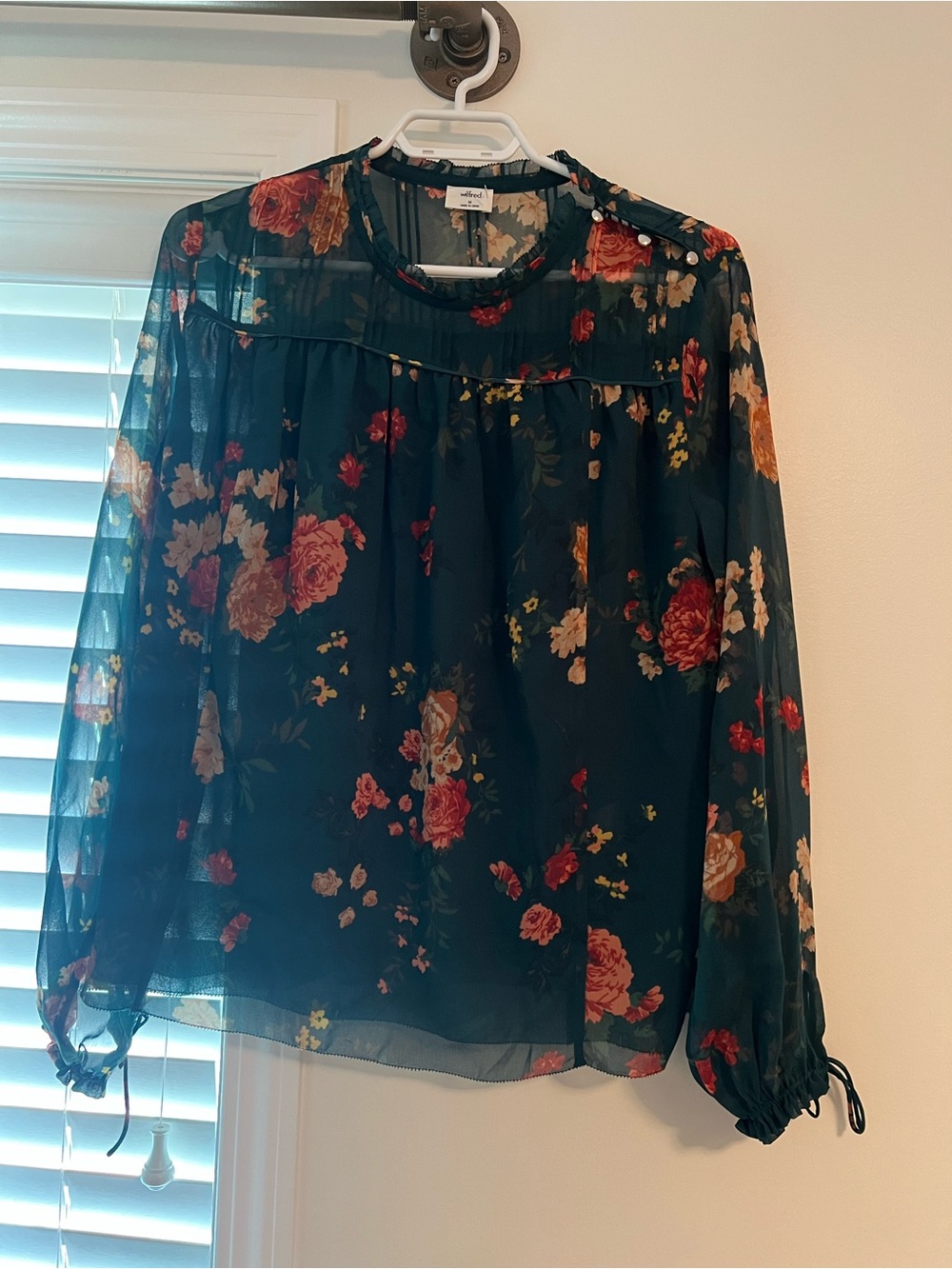Aritzia Sheer Floral Long-Sleeve Blouse - Dark Green with Red & Cream Roses